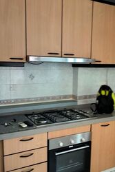 Hillview Green (D21), Condominium #462616101